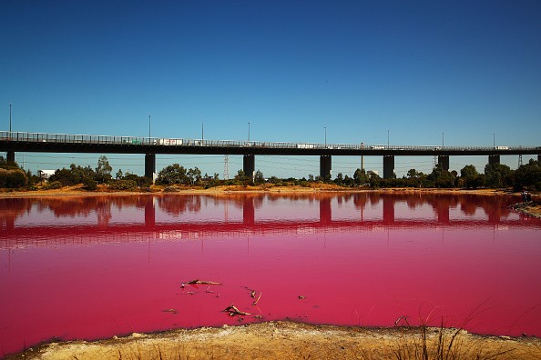 San Diego pink waves get dyed as scientists study water pollution
