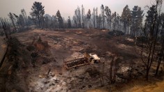 Forest fire in Santa Juana, Concepcion province, Chile on February 5, 2023