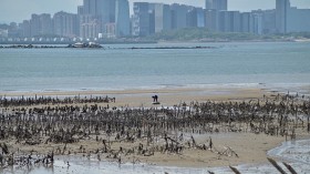 Taiwan's Kinmen islands, which lie just 3.2 kms (two miles) from the mainland China coast, on August 10, 2022