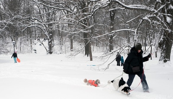 January 29, 2022 in the Brooklyn borough of New York City.	Climate change, La Niña Help Unfold Warmer Winter Season in Parts of United States, Forecasts Say 