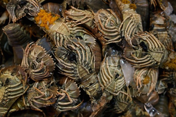 Singapore Chinatown Complex Wet Market on February 21, 2013 in Singapore. Decline of Rusty Crayfish Detects in Northern Wisconsin, 33-Year Study Reveals