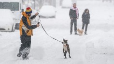 February 13, 2021 in Seattle, Washington. Deep Freeze Possible Due to Blast of Arctic Air in Northwestern US