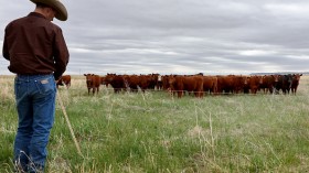 Ranchers Attend Regenerative Agriculture Training In Rural New Mexico