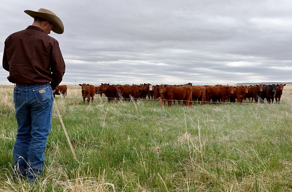 Ranchers Attend Regenerative Agriculture Training In Rural New Mexico
