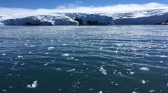Antarctic Sea Ice Cover