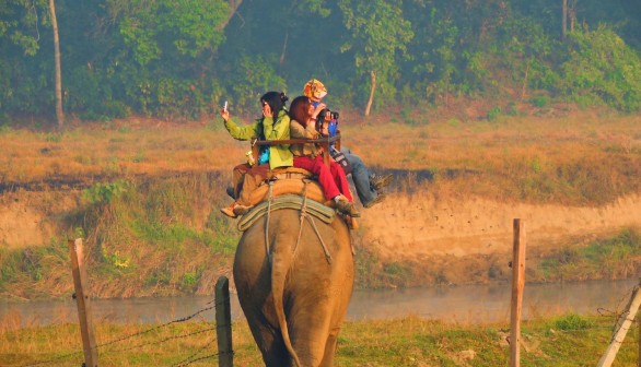 Rescued Elephant Carrying Tourists for 25 Years Now With Deformed Spine — Thailand