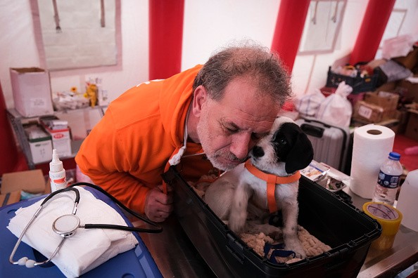 Affected Animals in Deadly Turkey and Syria Earthquakes Still Being Rescued From the Rubbles