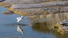 ITALY-CLIMATE-DROUGHT