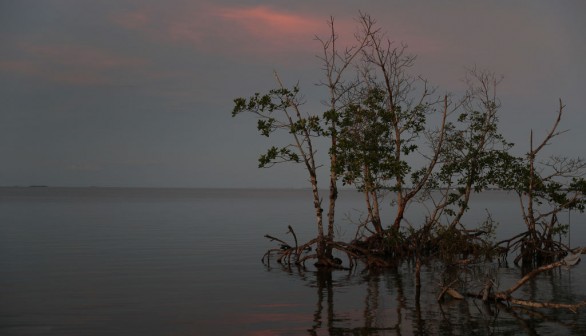 Florida Sea Level Rise