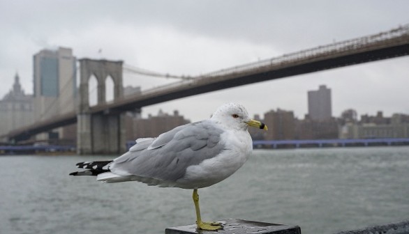 US-WEATHER-SNOW-NYC