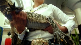 Texas Woman Faces $1000 Fine for Raising Alligator as Pet for 20 Years at Home