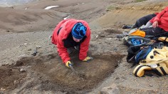 24,000-Year-Old Skeletons of 7,000 Extinct Animal Species Unearthed in Chile