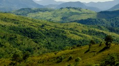 Philippines Named Asia's Deadliest Country For Land And Environmental Defenders