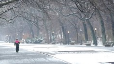  Riverside Park on the West Side of New York City. The latest forecasts said that a possible winter storm could hit the Northeast next week, bringing rain and snow.