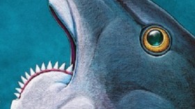 Helicoprion