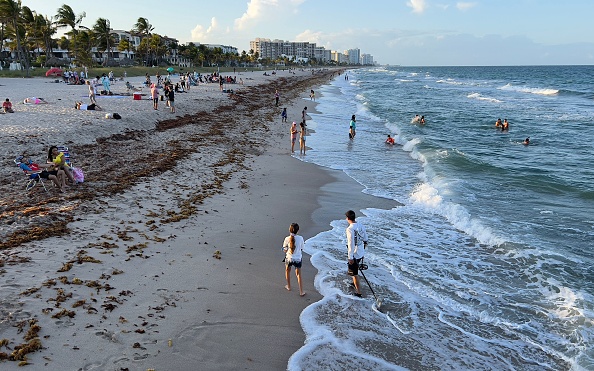 Great Atlantic Sargassum Belt Threatens Tourism in Both Mexico and Florida