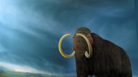 woolly mammoth