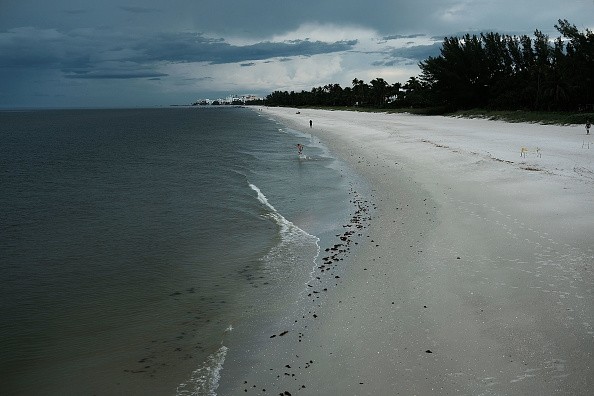 Red Tide Algae Blooms Continue On Florida's Gulf Beaches