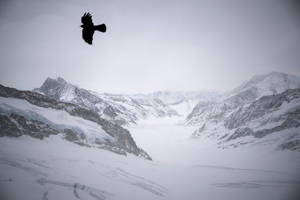 SWITZERLAND-TOURISM-WEATHER-LANDSCAPE-ANIMALS