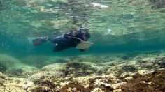 Luxury Yacht Severely Damages Coral Reefs Off-Coast Hawaii