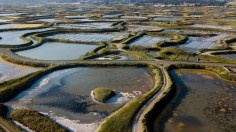 FRANCE-SALT-FEATURE