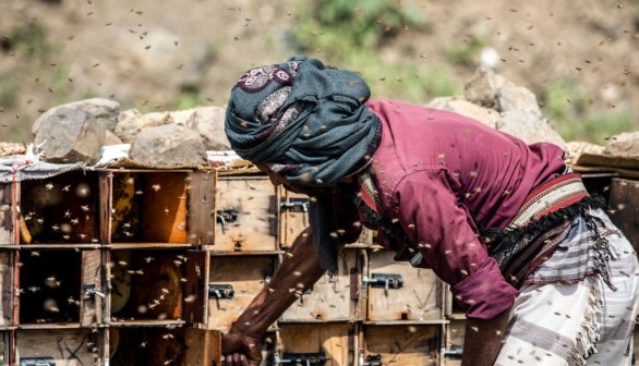 YEMEN-CONFLICT-APICULTURE-HONEY