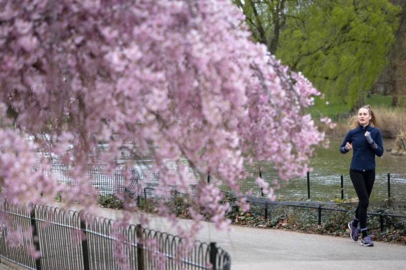 Warmest Temperate In Uk May Soar To “above Average” Levels Up To 18c In Second Half Of April