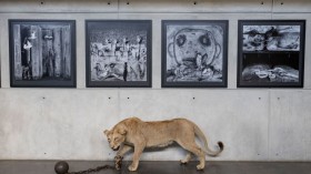 SAFRICA-ART-PHOTOGRAPHY-EXHIBITION