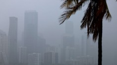 Florida Storm