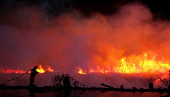 Extreme Forest Fire Creates 200-Foot Wall of Fire in New Jersey