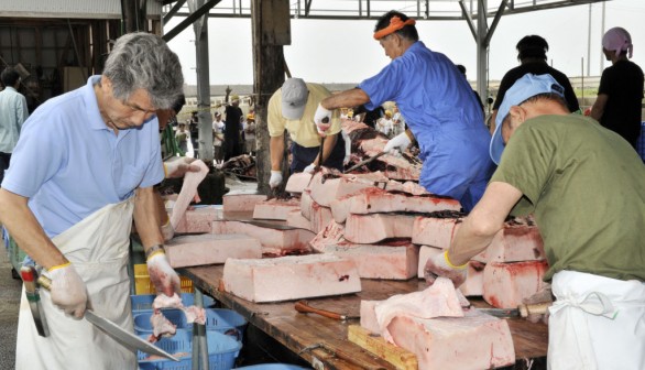 Dolphin Meat For Sale in Japan: Highly Toxic as Mercury Exceeds Safety Threshold by 100x