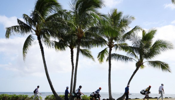Top Cities with Cleanest Air Both in Hawaii, While Washington Counties Receive F Grade