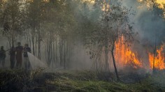 INDONESIA-FIRE-ENVIRONMENT