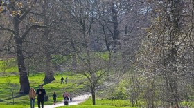 Green Park in London