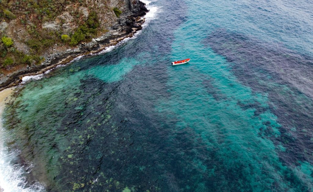 Indo-Pacific corals cope better in higher ocean temperatures