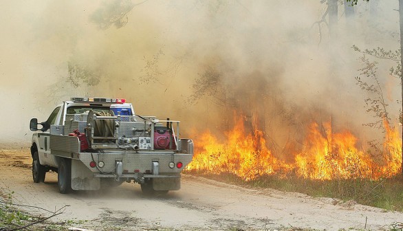 Sandy Fire: South Florida Wildfire Consumes 690 Acres of Pine Reserve