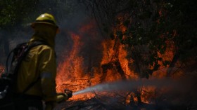 Western Canada Wildfires