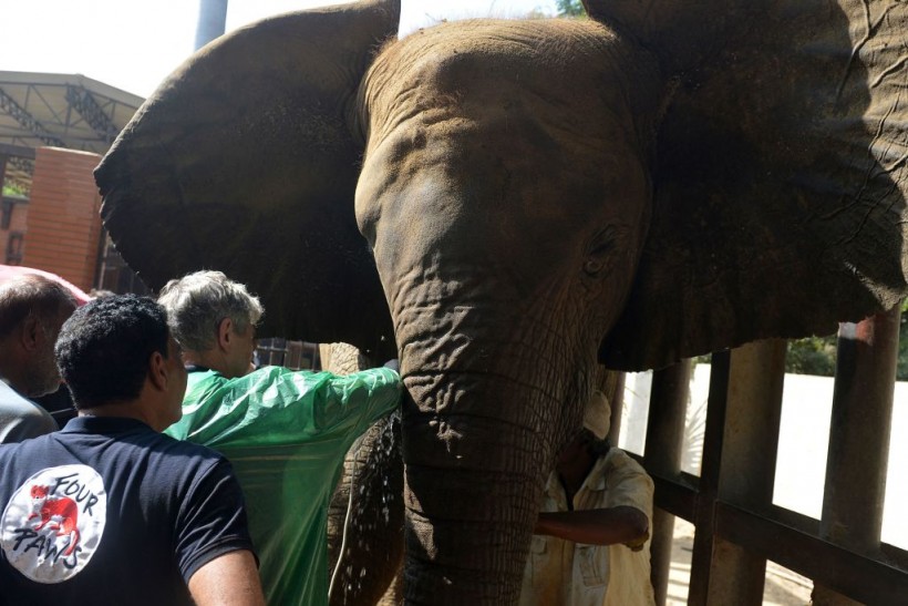  Karachi Zoo in Karachi on November 29, 2021. Latest reports said that the death of 17-year-old elephant in Pakistan drew criticism due to poor health and animal welfare conditions. 
