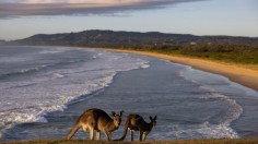 Australia's East Coast Gets Into Summer Mode