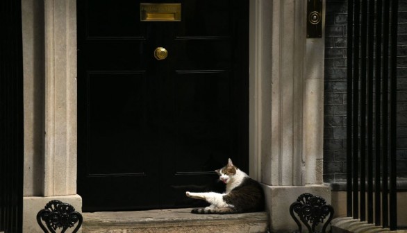 BRITAIN-POLITICS-ANIMALS-OFFBEAT