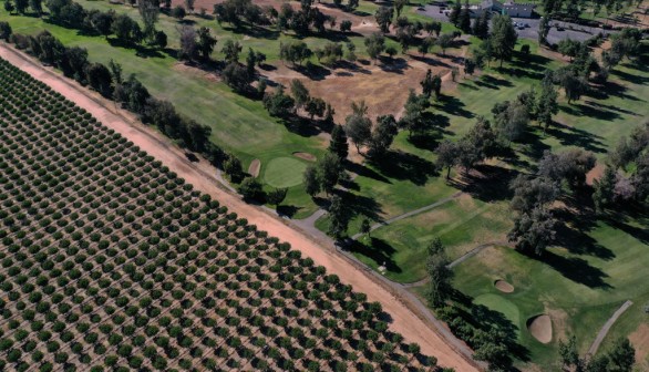 California Ventures into Farming Avocados, Mangoes, Agave in Response to Climate Change