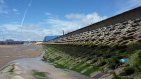 45 Artificial Rockpools on England Seawalls Attract 65 Aquatic Species