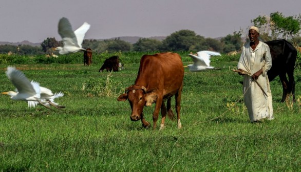 SUDAN-NATURE-WATER-NILE