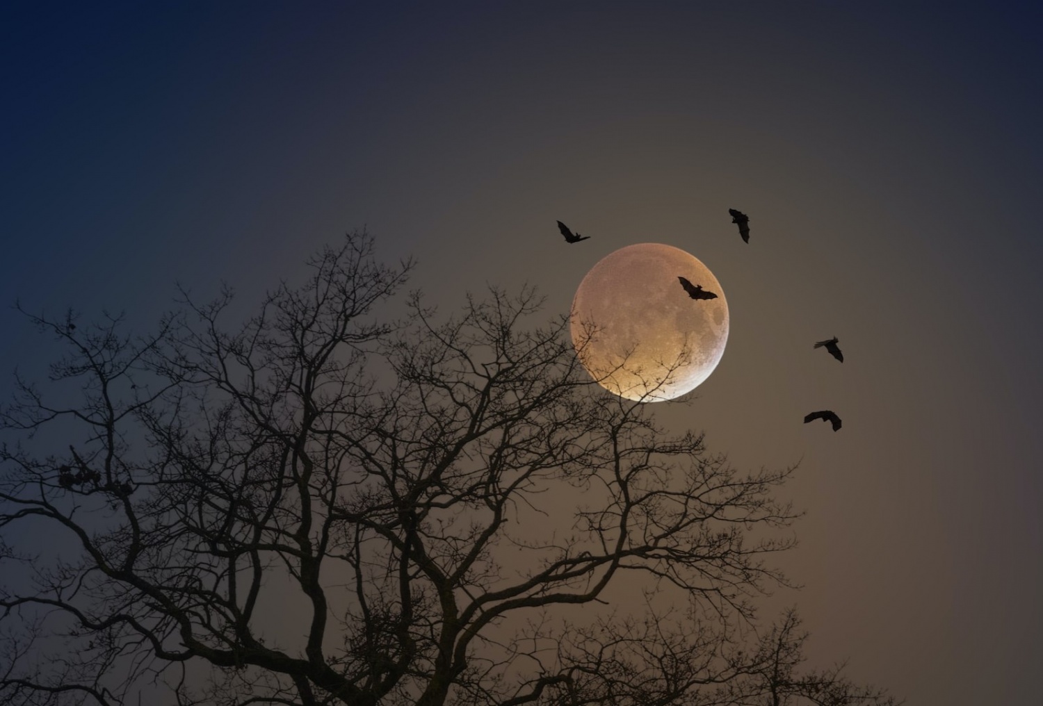 earthshine-earth-illuminates-moon-with-ghostly-da-vinci-glow-nature