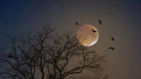 Earthshine: Earth Illuminates Moon with Ghostly Da Vinci Glow