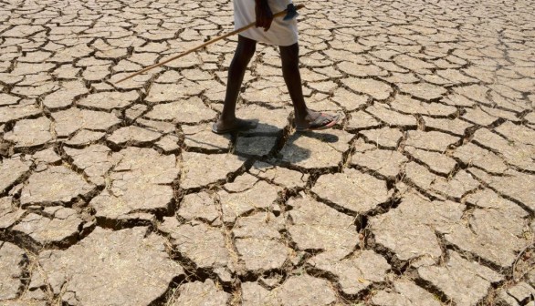 2 Billion People Exposed to Extreme Heat if Global Warming Rises to 2.7°C, Study Shows