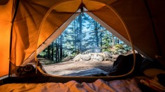 Best Camping Grounds in Midwest Recognized by Travel App