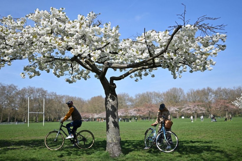 Battersea Park, in London, on April 9, 2023 
