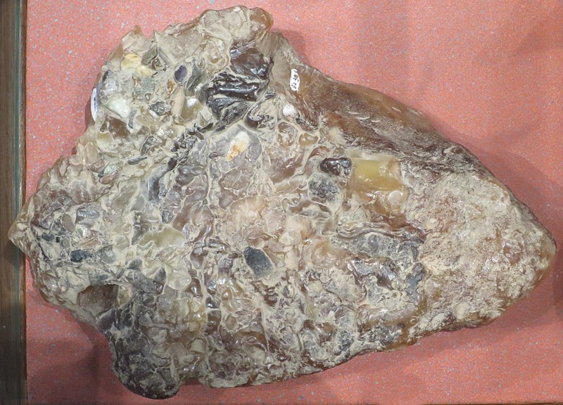 Ambergris Boulder at  Million Confiscated After Smuggle Attempt Failed in India