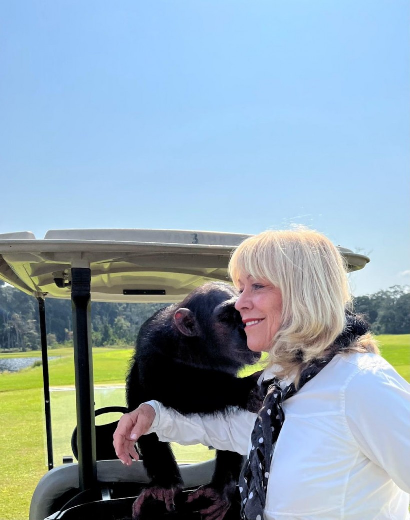 Charting a new course: Franci Neely befriends a chimp in Equatorial Guinea